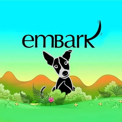 Embark profile