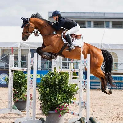 Emilia Liljegren profile
