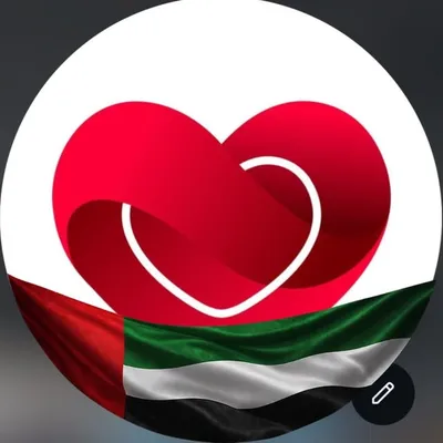الإمارات تُحبْ مصر 🇪🇬🇦🇪♥️ profile