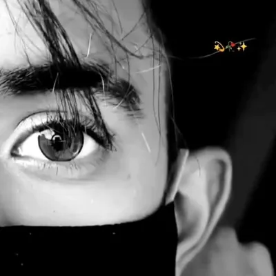 ๐ช ๐ฒ ๐ฒ _ ๐ง ๐บ ๐ฉ ๐ฉ ๐พ profile