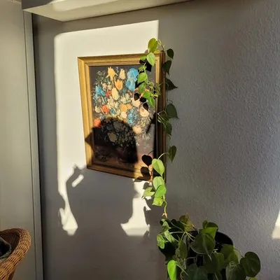 Emma Luisa🌞 profile