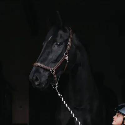 Emmely Järnehage profile