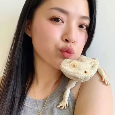 阿妮的三八動物園 profile