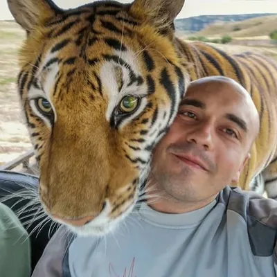 Enriquejavas profile