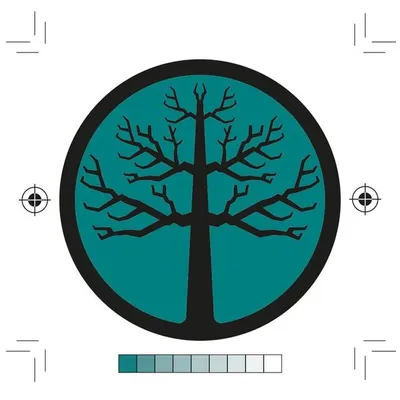 enter: shikari profile