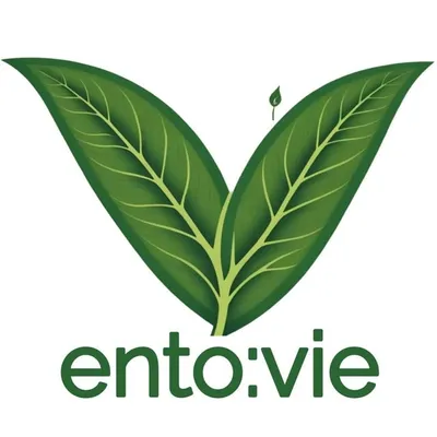 Entovie Startup Solutions profile