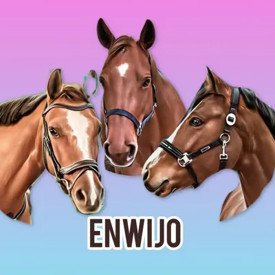 enwijo - sᴛᴀʟʟᴠɪʙᴇs ᴛᴏ ɢᴏ 🐴 profile
