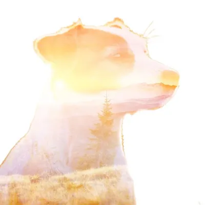 E n y a H a b e l profile
