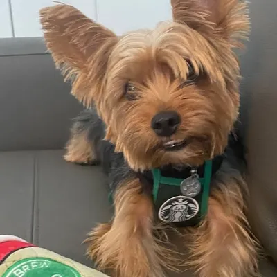 Enzo Cruz profile