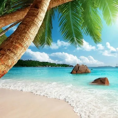 Travel Vacations Nature profile