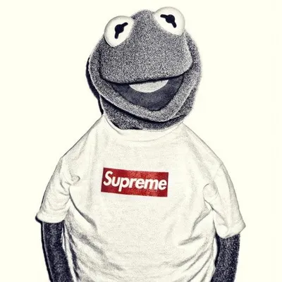 Memes profile