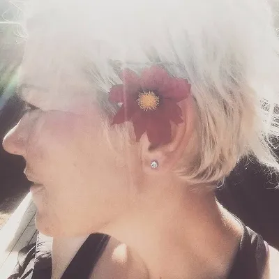 Stine profile