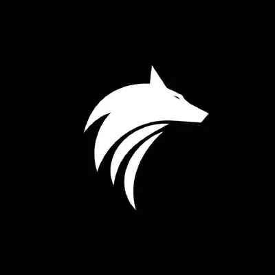 Black Wolf Marketing Digital profile