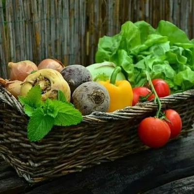 Era of Natural Health profile