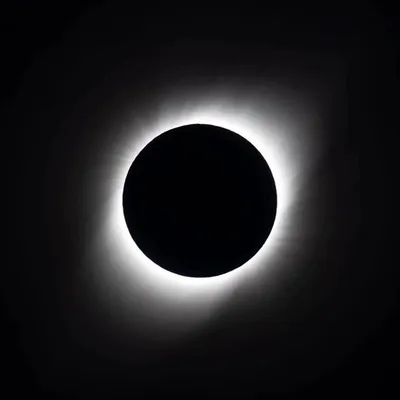 Erez Marom profile