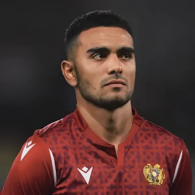 Erik Simonyan profile
