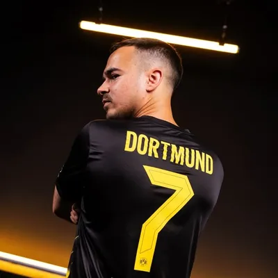 Erné profile