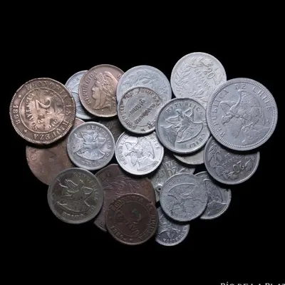 Coleccionista de monedas profile