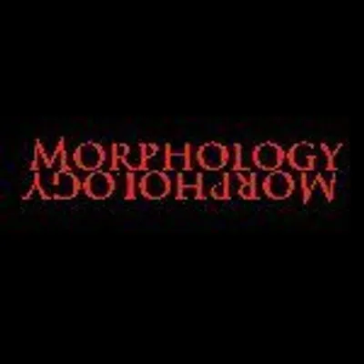 MorphologyBlog profile