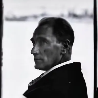 profile