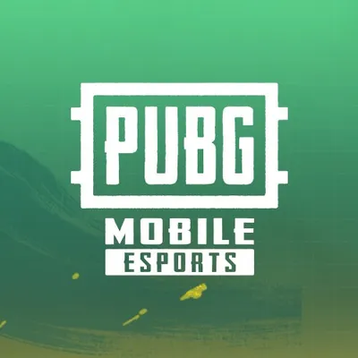 PUBG Mobile Esports Instagram profile photo