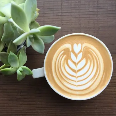 Espresso Hit profile