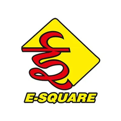 E-Square Alliance Pvt. Ltd. profile