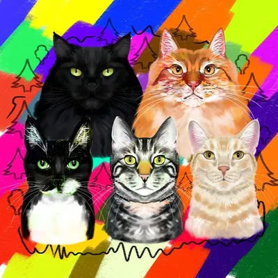 Vandencats profile