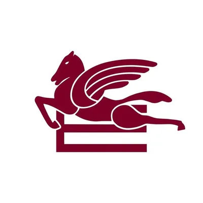 ETRO profile