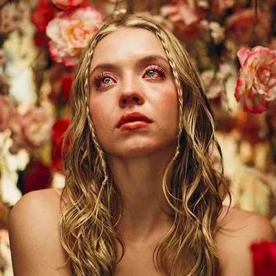 e͏u͏p͏h͏o͏r͏i͏a͏ profile