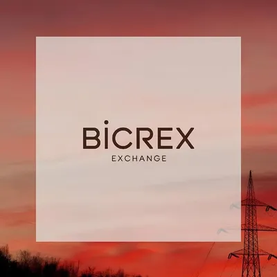 Enlaces en la biografía profile