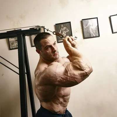 Evan Centopani profile