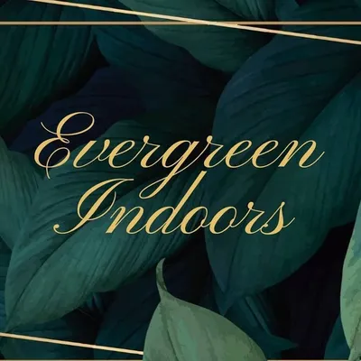 Evergreen Indoors profile