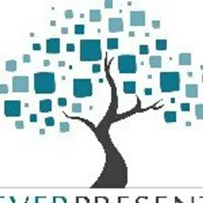 everpresentonline profile