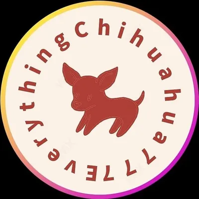 Everything Chihuahua 777 profile