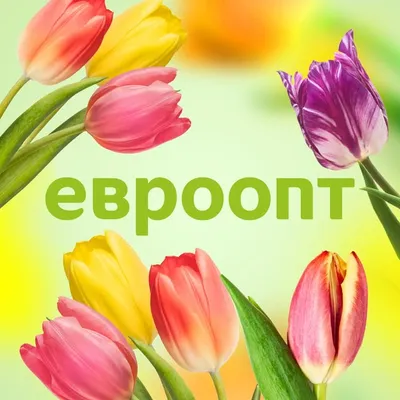 Сеть магазинов "Евроопт" profile