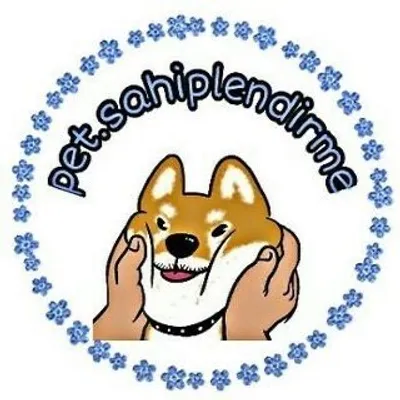 KEDİ VE KÖPEK SAHİPLENDİRME profile