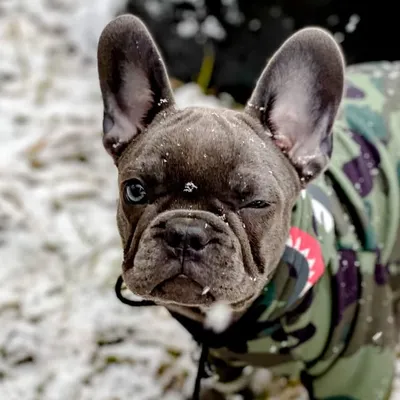 Ernies WRLD profile