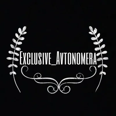 Exclusive Avtonomera profile
