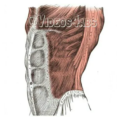 exercises4abs® profile