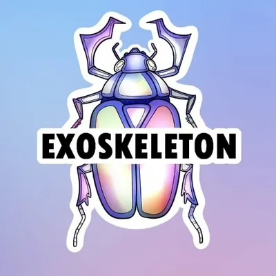 Exoskeleton profile