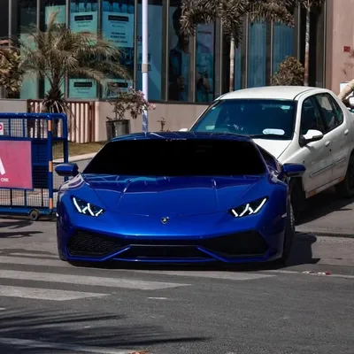 #ExoticCarsInAhmedabad profile
