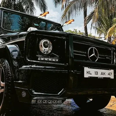 exotics spotted in kannur profile