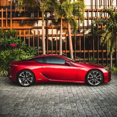 Exotics Coimbatore profile