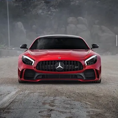Exotic & Luxury Cars In India profile