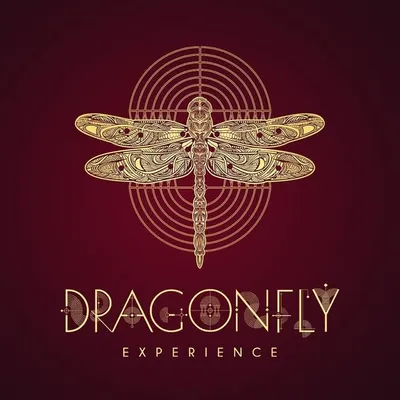 Dragonfly Experience profile