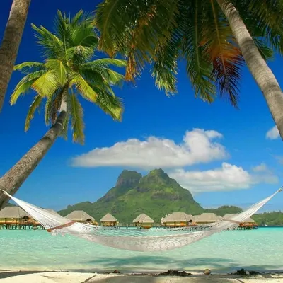 Travel | Vacations | Nature profile