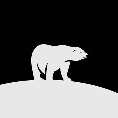 Nature wildlife profile