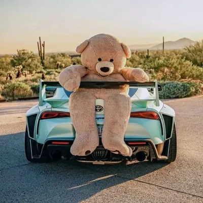 Explore Car profile