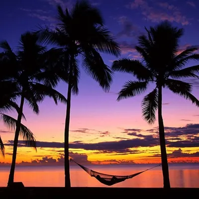 Vacations Travel Nature profile